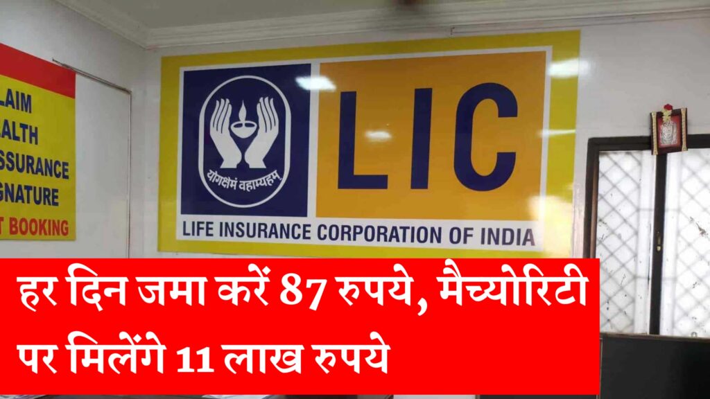 LIC Aadhaar Shila Investments Policy