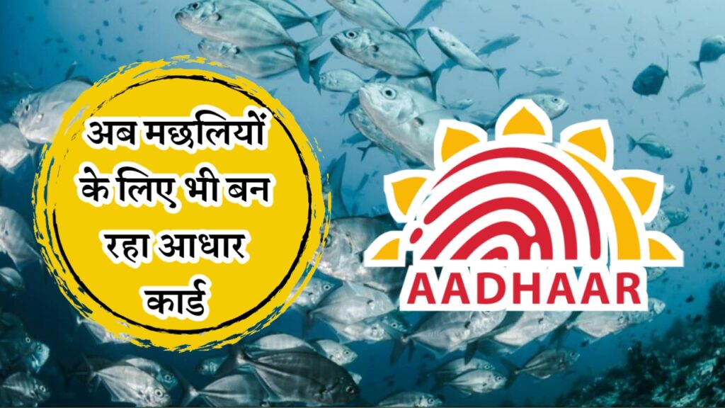 Fish Aadhar Card