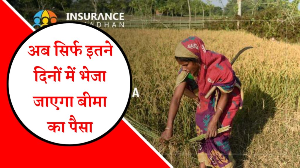 Fasal Bima News